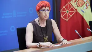 Un estudio de seroprevalencia asegura que pr&aacute;cticamente todos los navarros tienen anticuerpos