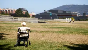 Pamplona sigue sin recuperar su verde: este es el estado un mes después de San Fermín