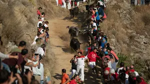Arturo Pérez-Reverte ataca al encierro del Pilón de Falces y a sus vecinos: "Gentuza, animales"