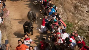 Vertiginoso segundo encierro del Pilón: momentos de sustos y tensión en el recorrido