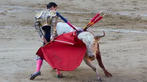 El empeño de los toreros no es suficiente ante unos decepcionantes Prieto de la Cal en Tafalla