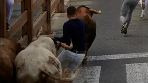 Las imágenes del vibrante y rápido tercer encierro de Tafalla con toros de Sobral