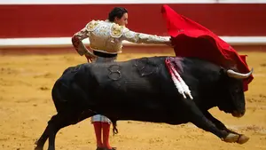 El futuro de las corridas de toros en San Sebastián: "Dependerá de la asistencia de público"