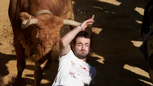 La valentía se demuestra en el Pilón: todas las fotos del penúltimo encierro de Falces