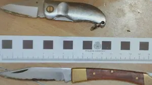 Detenido por amenazar a su expareja con un cuchillo y herir a 2 agentes al intentar fugarse