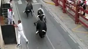 Cintruénigo celebra su primer encierro con los toros de la corrida: "Ha sido rápido y limpio"