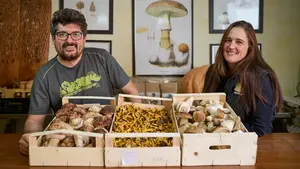 La única tienda de Pamplona especializada en setas y hongos: "Este año es de calidad"