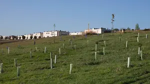 Los avances del nuevo bosque con más de 2.000 árboles que se está plantando en Pamplona