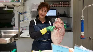 Pescadería San Martín, en Pamplona: "Lo que más se vende en Navidad es la merluza"