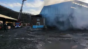 Controlado el incendio en una empresa maderera del norte de Navarra