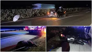 Cuatro heridos en la Autopista de Navarra tras chocar contra un jabalí de gran tamaño