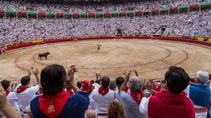 El canal de televisión que daba los toros de San Fermín cierra tras la llegada de otro operador