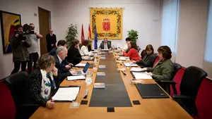 Los grupos navarros culpan a la pornografía del aumento de la violencia sexual