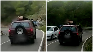 Se vuelve viral por ir semidesnudo sobre el techo de un coche y les pilla la policía