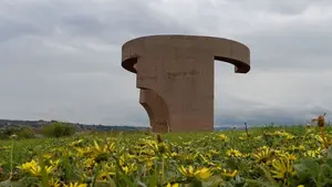 Encuentran el cadáver de una chica de 20 años que anunció su suicidio en redes