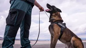 Un perro policía encuentra droga en los genitales de una viajera del aeropuerto de Pamplona