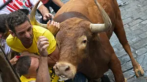 El encierro de locura de 'Chillón', el toro de Cebada Gago que ha querido llegar el primero a la plaza