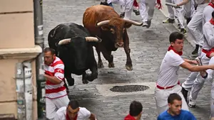 El relato ganador sobre el encierro de San Fermín que emocionará a todos los pamploneses