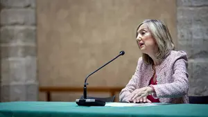 Ibarrola, sobre la consulta de la plaza de la Cruz: "No es una votación sino un proceso participativo"