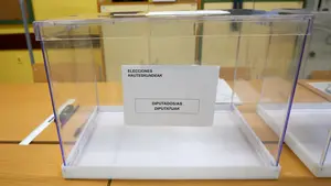 El 'muy diferente' voto extranjero en Navarra: PSOE y PP a la par y Bildu cae al nivel de Vox