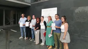 El PSN se desmarca del acuerdo de sus socios a favor de la investigación sanitaria pública