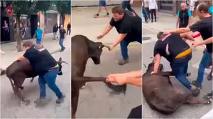 Estella va con todo contra el mozo que maltrató a una vaquilla en el encierro y se tiró encima