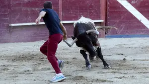 Torneo de dardos, encierros y gigantes en un pueblo de Navarra en esta Semana Santa