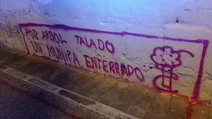 "Por árbol talado, un munipa enterrado": abominable pintada en la calle Jarauta de Pamplona