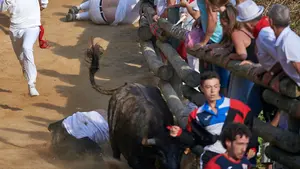 Un Pilón de infarto: una vaca arrolla a toda velocidad a un mozo y lo deja malherido