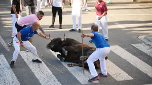 Un toro suelto desde la curva de la Estación siembra de peligro el quinto encierro de Tafalla
