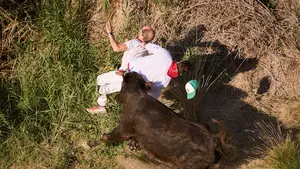 Escalofriante cornada a un mozo en Encierro de El Pilón que despide las fiestas de Falces