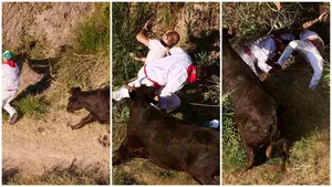 La secuencia de la grave cogida a un corredor en el Encierro de El Pilón en imágenes