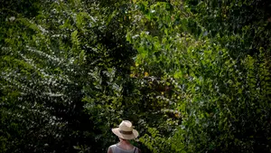 El aviso de la AEMET en Navarra: el cambio en el tiempo estos días que no te esperas