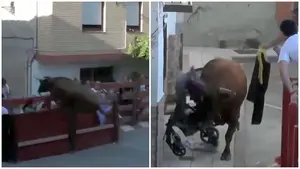 VÍDEO| Caos y terror en un pueblo de Navarra: un toro salta el vallado y embiste a silletas de bebé