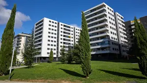 La Cámara de Comptos se pronuncia sobre Ripagaina y dice de cuántos municipios debe depender