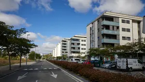 Un nuevo paso en Ripagaina: dan luz verde a la encuesta que decidirá el futuro del barrio