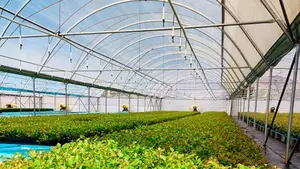 La empresa navarra que ha sido comprada por 900 millones de euros por una familia alemana