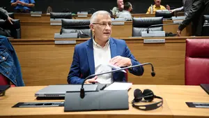 Félix Taberna culpa a las bajas por maternidad del reciente caos de la sanidad en Estella