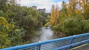 "Invaden" los ríos de Pamplona: las dos especies que se han adueñado de las aguas