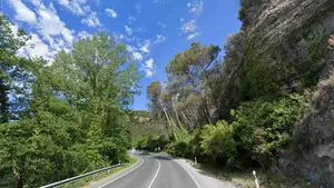 La carretera de Navarra que debes evitar en los pr&oacute;ximos d&iacute;as por culpa de unos &aacute;rboles