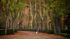 GALERÍA | Los colores del otoño llegan por fin a Pamplona acompañados de frío y lluvia