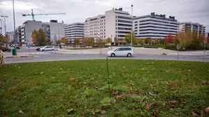 El misterio de las macetas enterradas que han aparecido en algunas rotondas de Pamplona