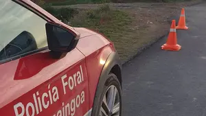 Un conductor pierde más puntos del carné de los que tiene y se lleva un multazo en Navarra