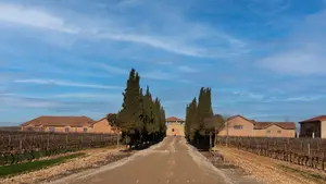 El vino navarro que ha sido premiado por una prestigiosa revista internacional del sector