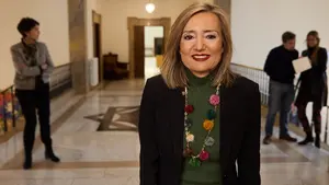 Ibarrola deja en evidencia al PSN: "Hacen en Pamplona lo que no quieren para el País Vasco"