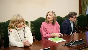 Asirón se intenta adueñar de los proyectos de Ibarrola para Pamplona: "No ha añadido ni una coma"