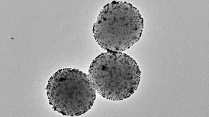 El estudio financiado por Fundación "La Caixa" que ha hallado un tratamiento para un agresivo cáncer