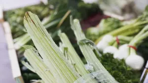 La plaga que amenaza en el campo a un producto estrella de la huerta de Navarra