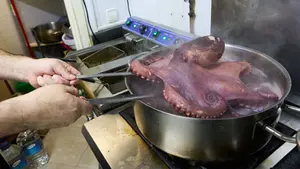 Cocido, pulpo y centollo: as&iacute; es el plan gastron&oacute;mico que quiere conquistar Pamplona este febrero