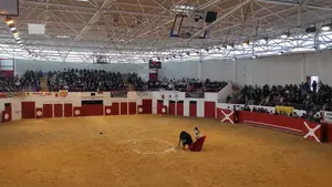 El navarro Bruno Martínez inicia con éxito la temporada francesa en la coqueta plaza de Arzacq